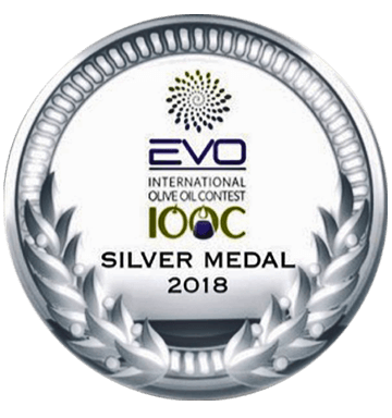 2018-silver-italy